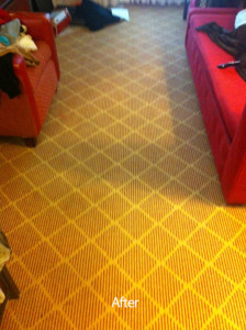Silver Spring, MD -Carpet-Clean-after